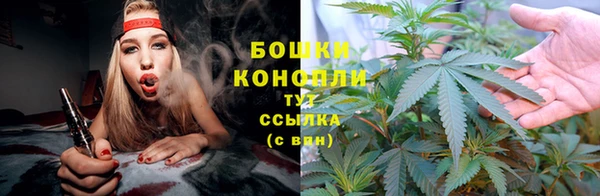 дживик Богданович