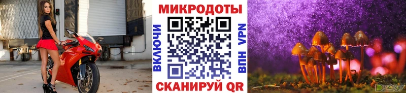KRAKEN tor  Михайлов  Псилоцибиновые грибы прущие грибы 